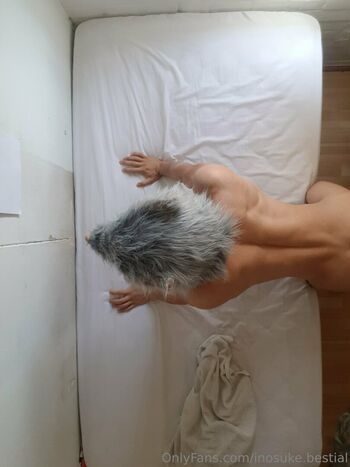 inosuke.bestial