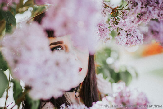 irelandrosetvfree