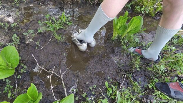 islandermud