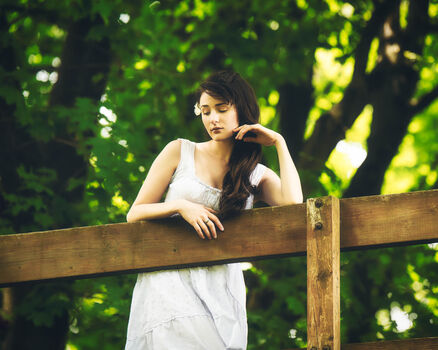 Jessthe Shire