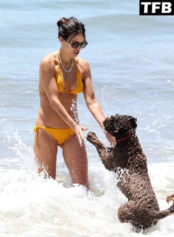 Jordana Brewster