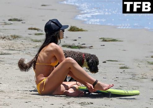 Jordana Brewster