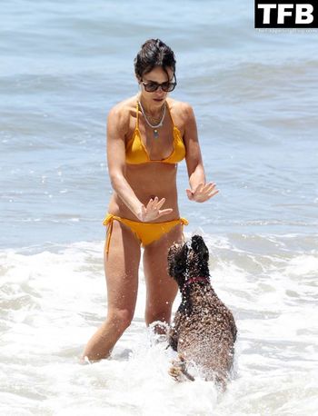 Jordana Brewster