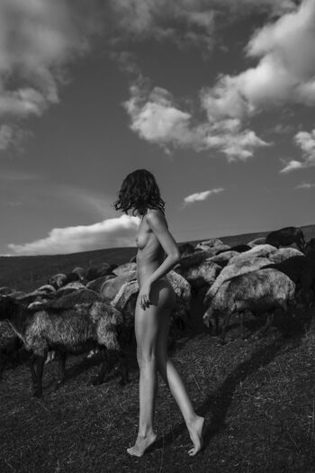 Julia Slip