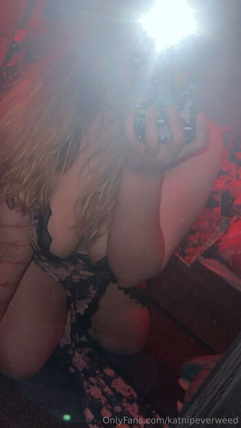 katnipeverweed