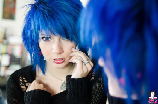 Katsandcrows
