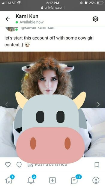 Kawaiikalikun