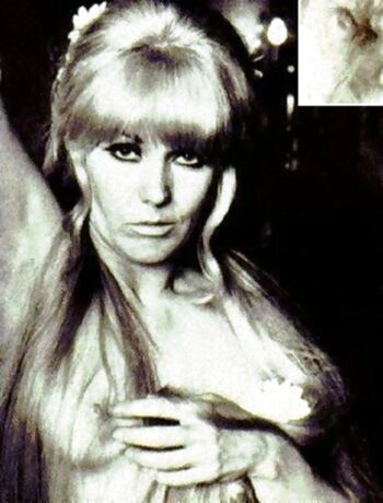 kimnovak