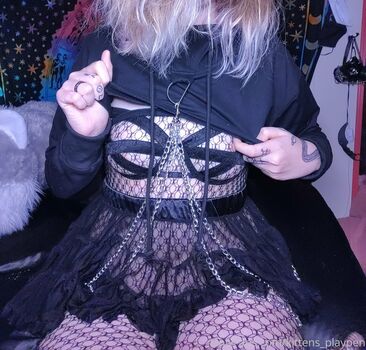 kittens_playpen