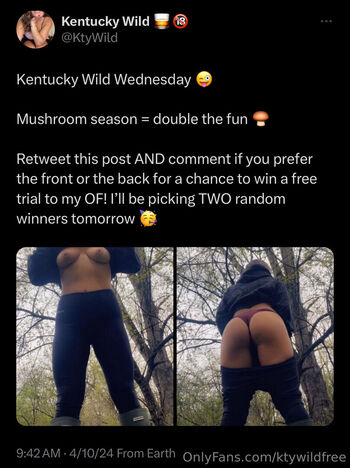 ktywildfree