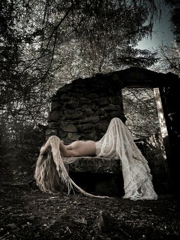Lady Willow Wood