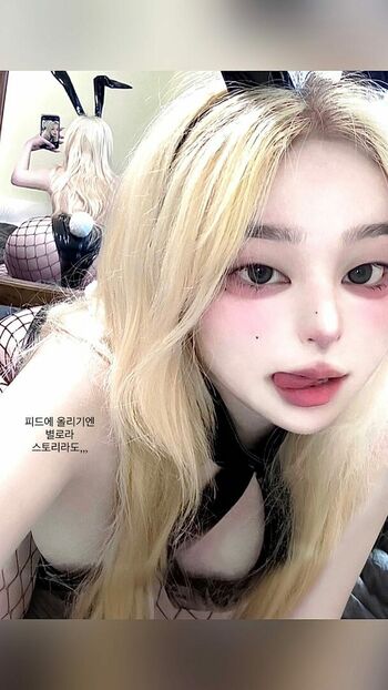 latulip_0