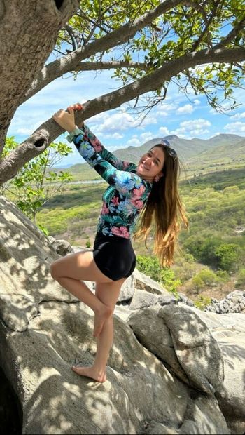 Laurinhafeer