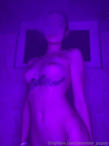 lavender_puppy