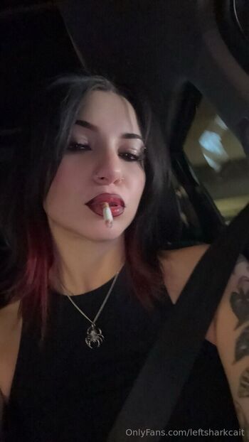 leftsharkcait