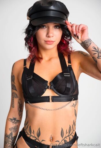leftsharkcait