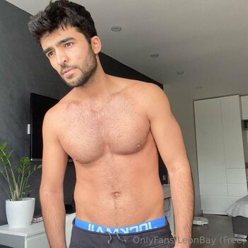 leonbay_free