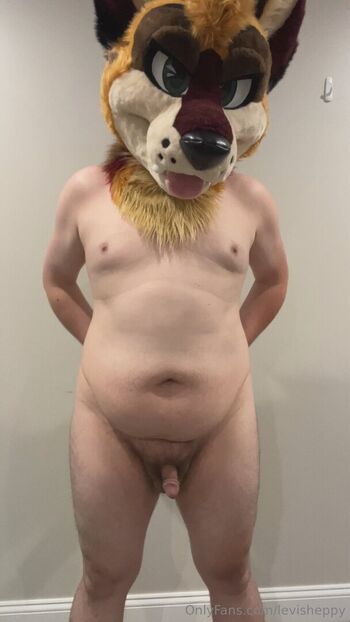 levisheppy