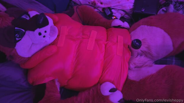 levisheppy