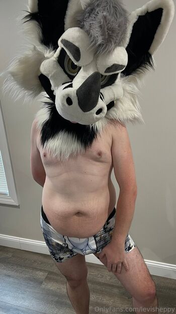 levisheppy
