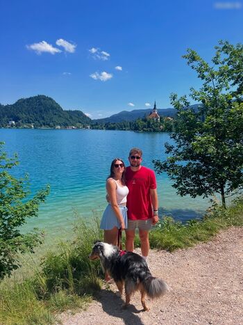 Lexi_Si / ziehl_abegg