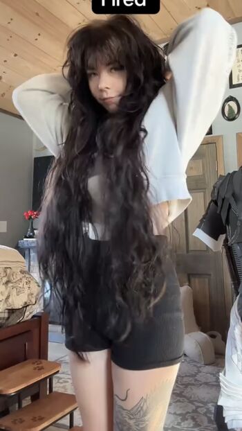 Liljellyshark