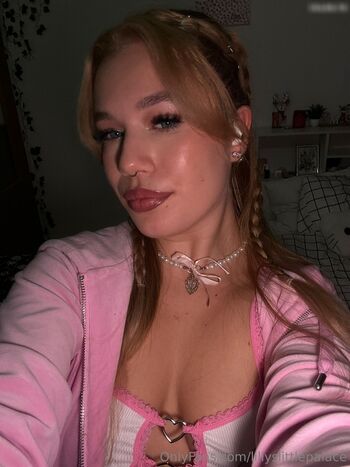 LillysLittlePalace