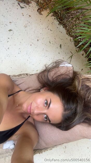 lily.mirabella