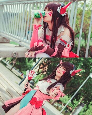 Lilyshibe