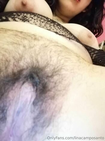 linacamposanto