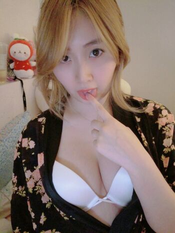 Lindychii