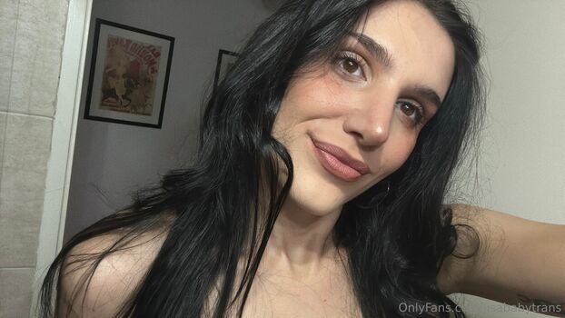 lisababytrans