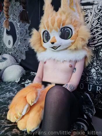 Little Pixie Kitten