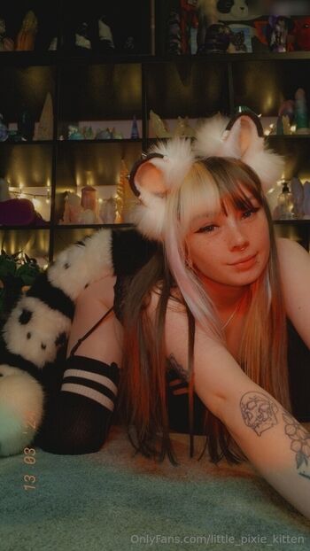 Little Pixie Kitten