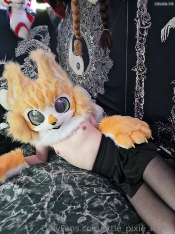 Little Pixie Kitten