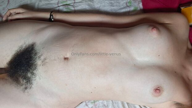 little-venus