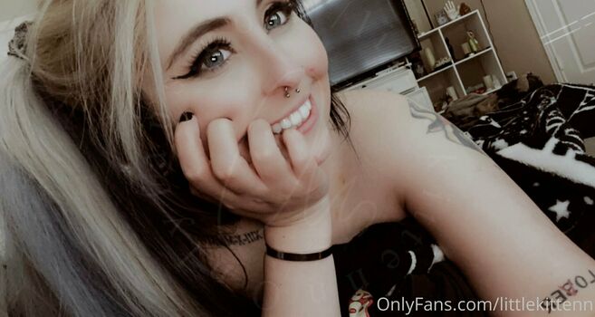littlekittenn