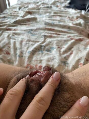 lostodg