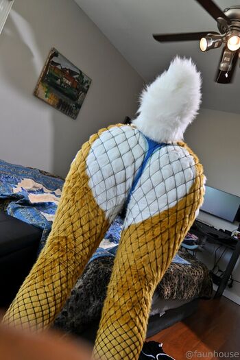 lotuslafawn