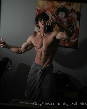 luis_aesthetics
