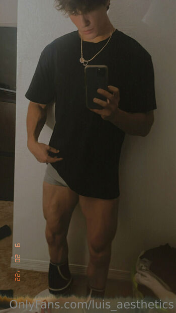 luis_aesthetics