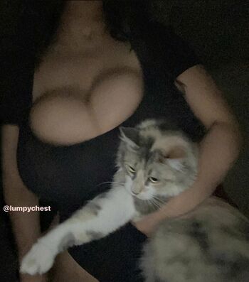 lumpychest