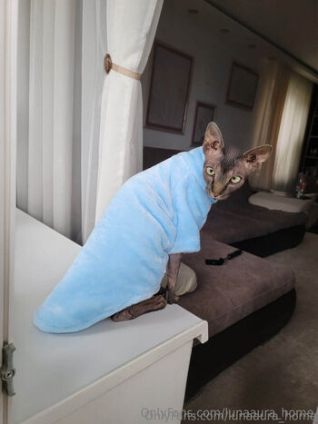 lunaaura_home