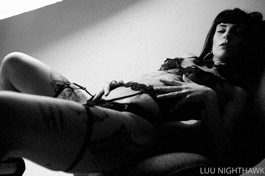 luu_nighthawk