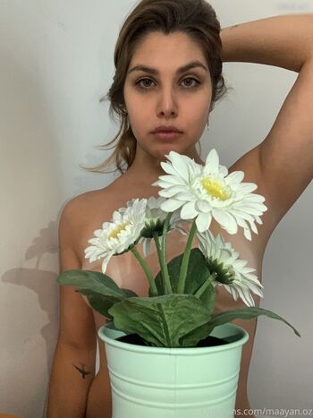 maayan.oz