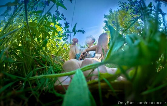 macrocole