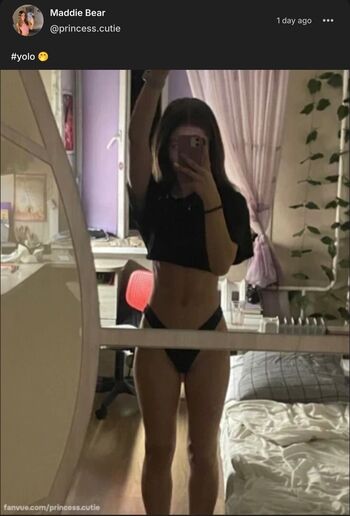 Maddie Bear