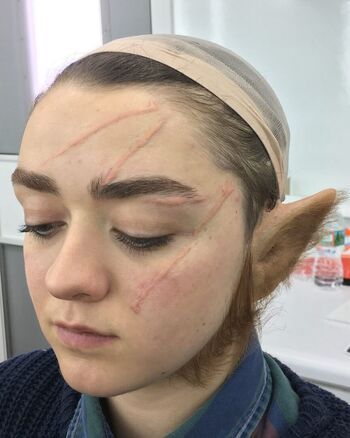 Maisie Williams