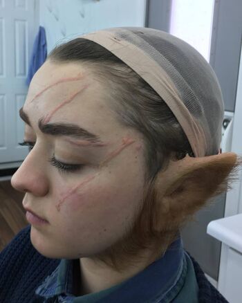 Maisie Williams