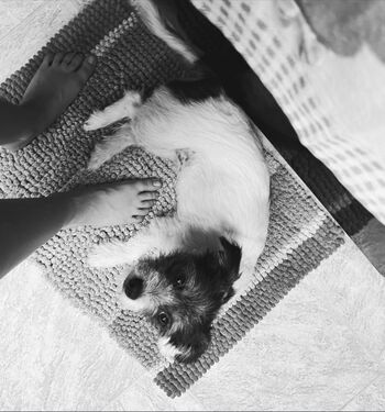 Mally_Mouse
